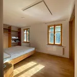 Σπίτι διακοπών Neu Renovierte Muehle, Einzellage Im Waldviertel *