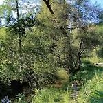 Neu Renovierte Muehle, Einzellage Im Waldviertel Σπίτι διακοπών