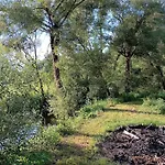 Neu Renovierte Muehle, Einzellage Im Waldviertel * Scheideldorf