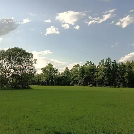 Σπίτι διακοπών Neu Renovierte Muehle, Einzellage Im Waldviertel