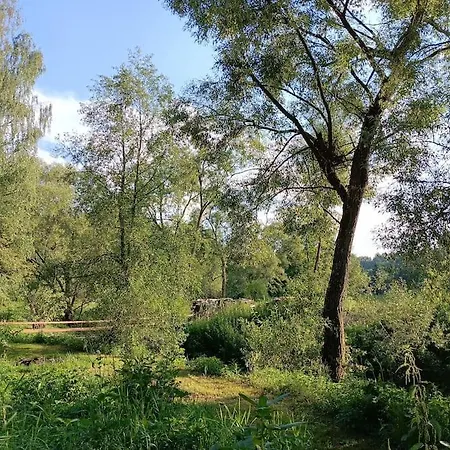 Neu Renovierte Muehle, Einzellage Im Waldviertel * Scheideldorf