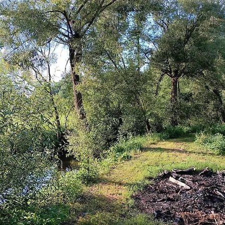 Neu Renovierte Muehle, Einzellage Im Waldviertel * Scheideldorf