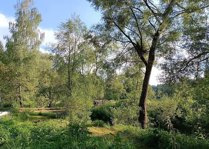 Neu Renovierte Muehle, Einzellage Im Waldviertel * Scheideldorf