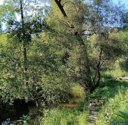 Neu Renovierte Muehle, Einzellage Im Waldviertel Nyaraló